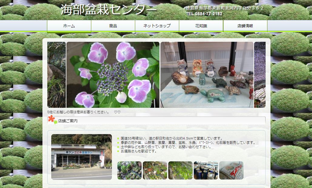 海部盆栽センター
